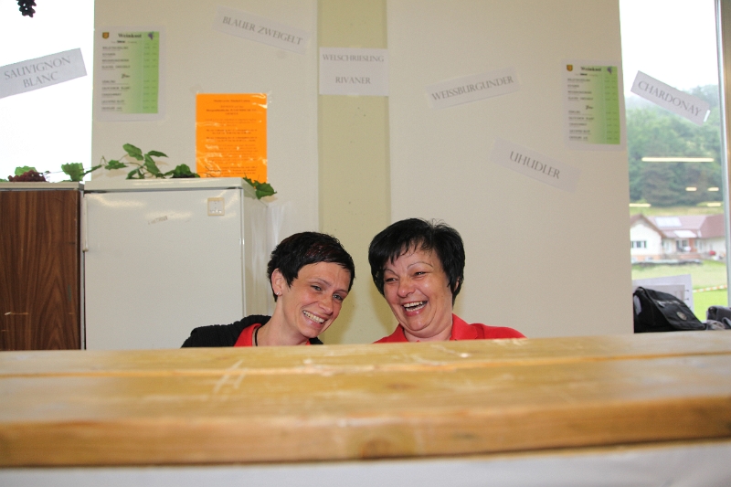 Trachtenweihe MV Minihof-Liebau 2013 (11).JPG